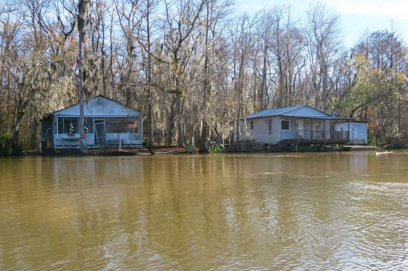 Houses you can only get to by boat. We saw a lot of these on the Honey Island Swamp Tour in Slidell.